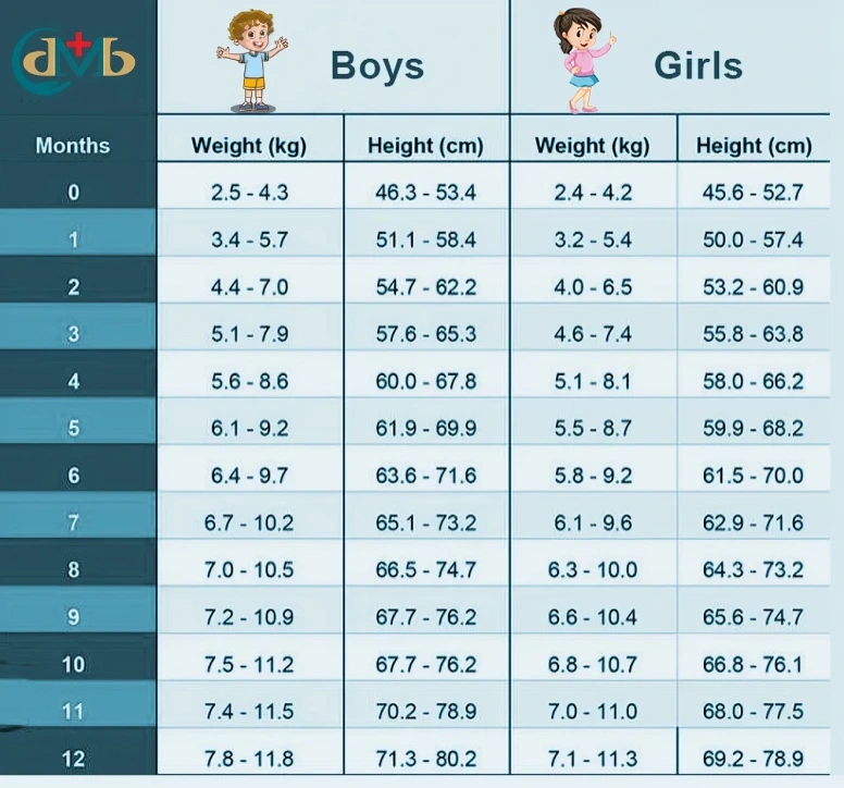 Baby Height and Weight chart