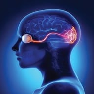 Neuro Ophthalmology